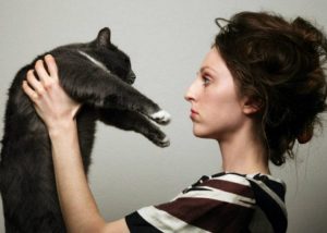 7 cosas que necesitas saber para llevarte bien con cualquier gato