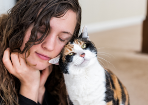 5 cosas a tener en cuenta para que tu gato viva más tiempo