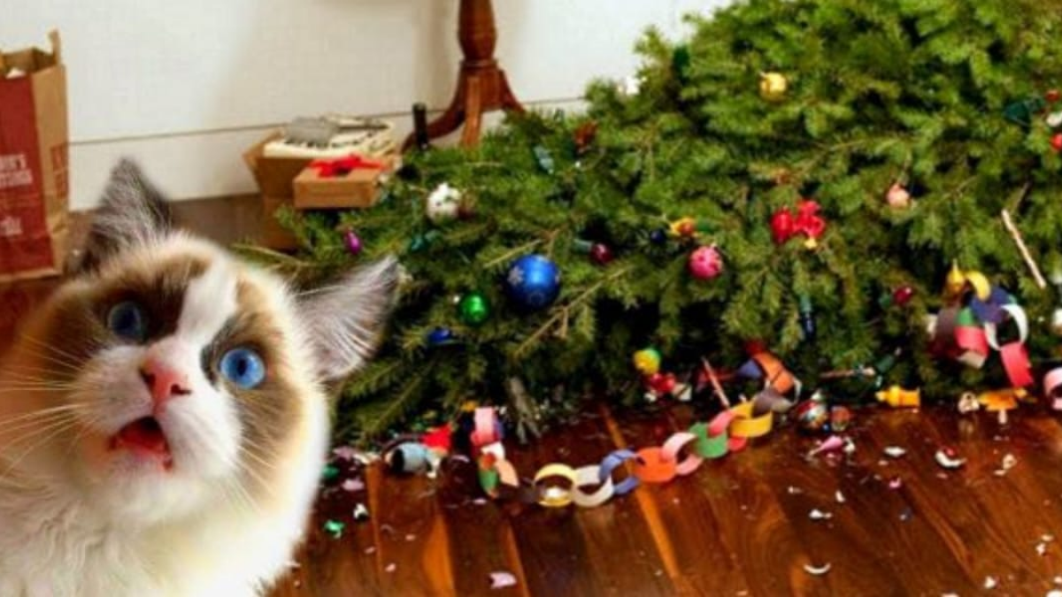 gato árbol navidad