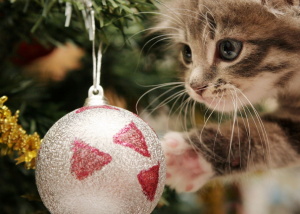 Esta es la manera de evitar que tu gato derribe el árbol de Navidad