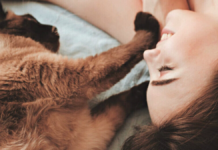 5 causas por las que tu gato no se despega de tu lado