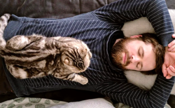 Si un gato duerme sobre ti, ¡te damos una excelente noticia!