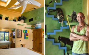 Peter Cohen, el héroe que transforma su casa en un paraíso para sus 22 gatos adoptados