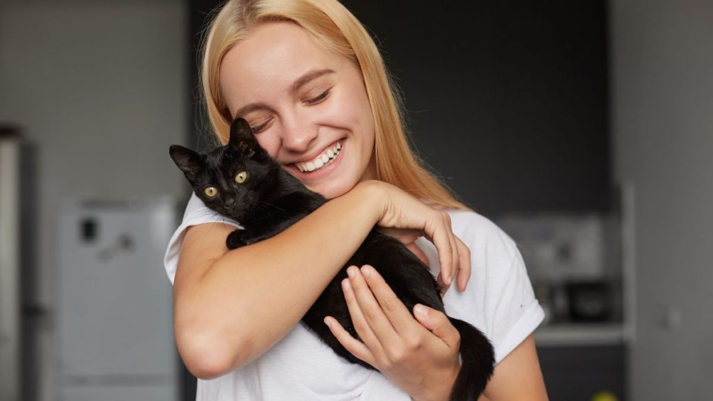 5 razones por las que tu gato mejora tu salud mental