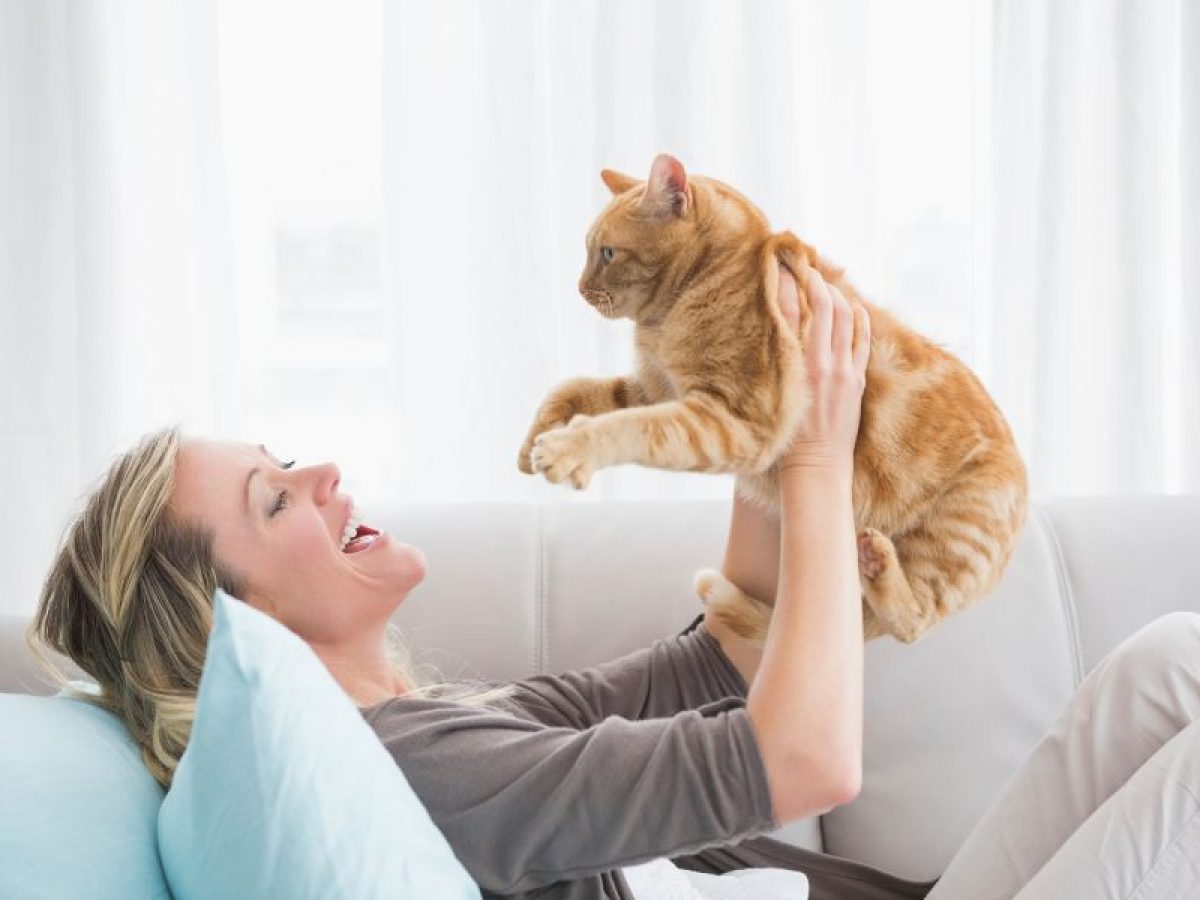 5 razones por las que tu gato mejora tu salud mental