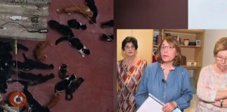 Señora tiene 70 gatos en malas condiciones en un piso de Valencia